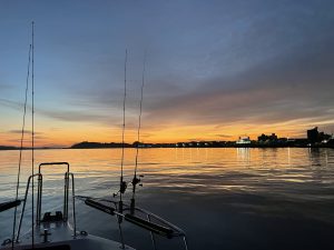 最近の釣果