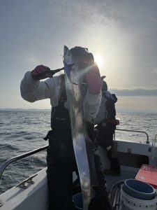 5月5日(月)タチウオジギング