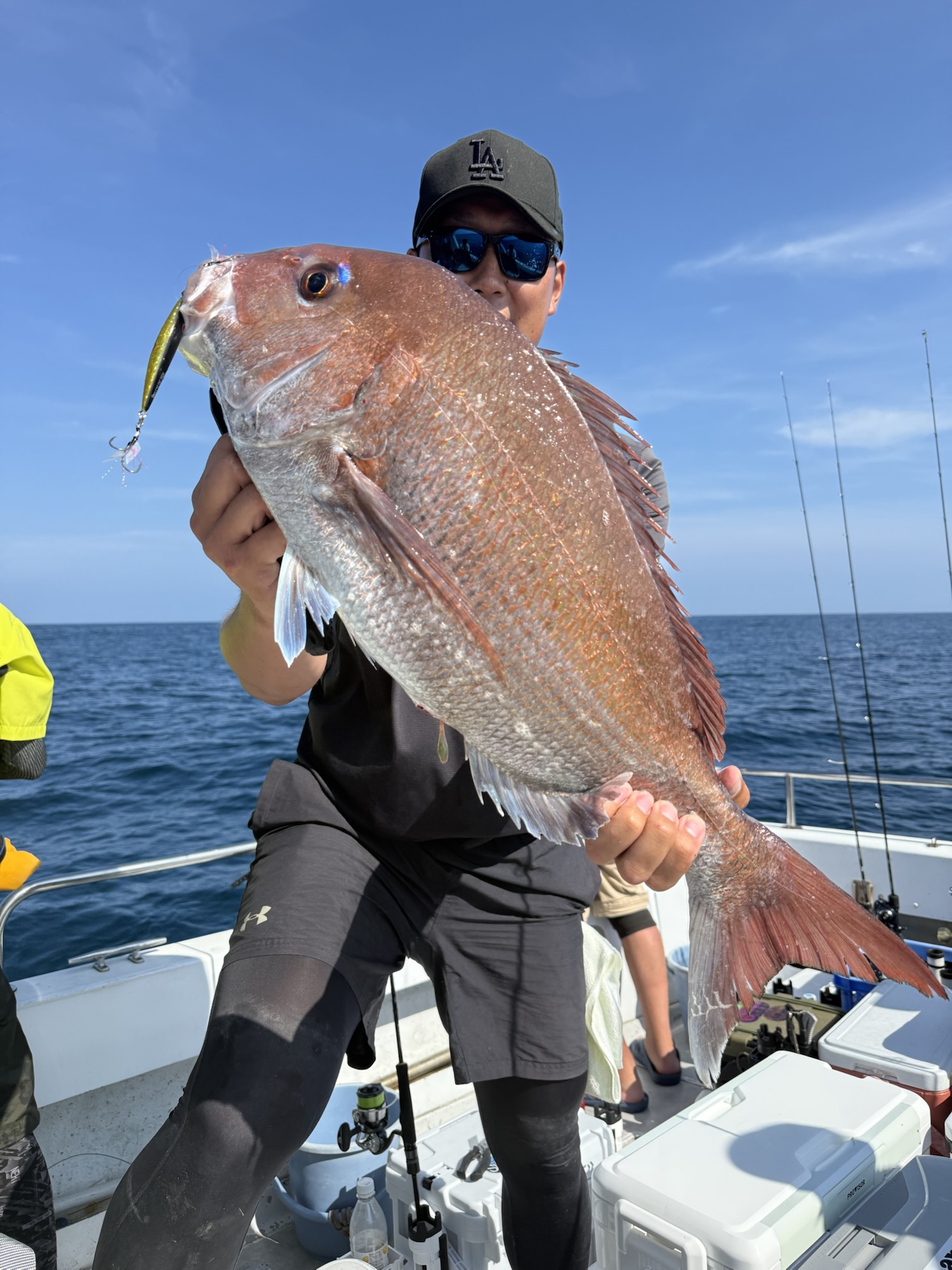 最近の釣果