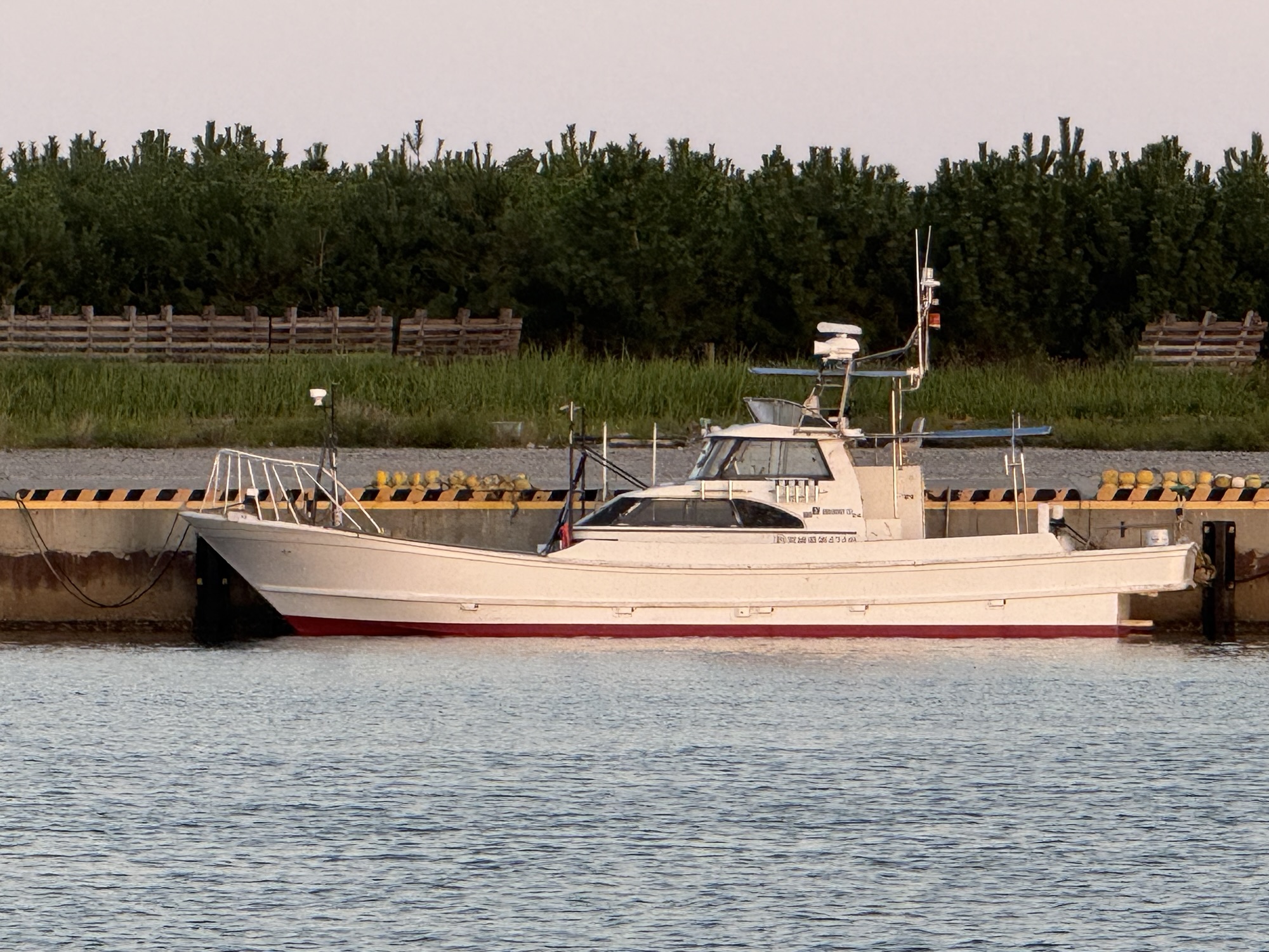 ２０２５年お世話になりました！